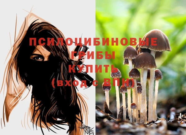 гашик Аркадак