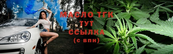 гашик Аркадак