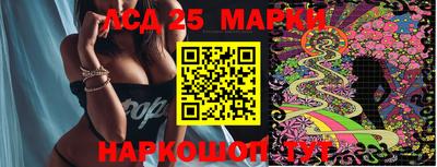 мдпв Гатчина