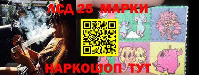 мдпв Гатчина
