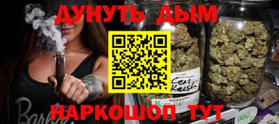 мдпв Гатчина