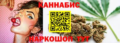 мдпв Гатчина