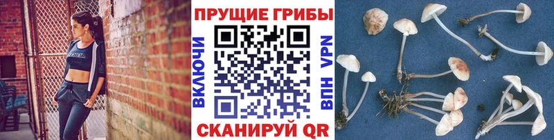 блэк спрут ONION  Зима  площадка телеграм  Псилоцибиновые грибы прущие грибы 