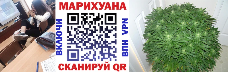 Шишки марихуана конопля  Зима 